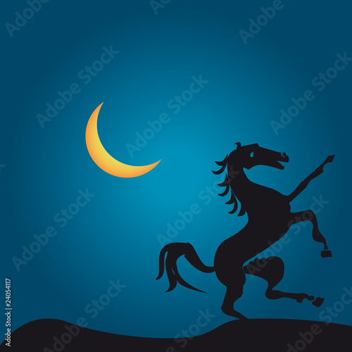 cavallo