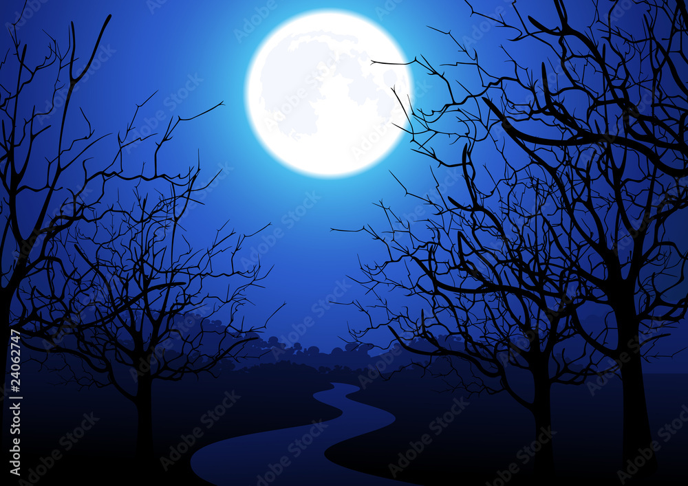 Night road