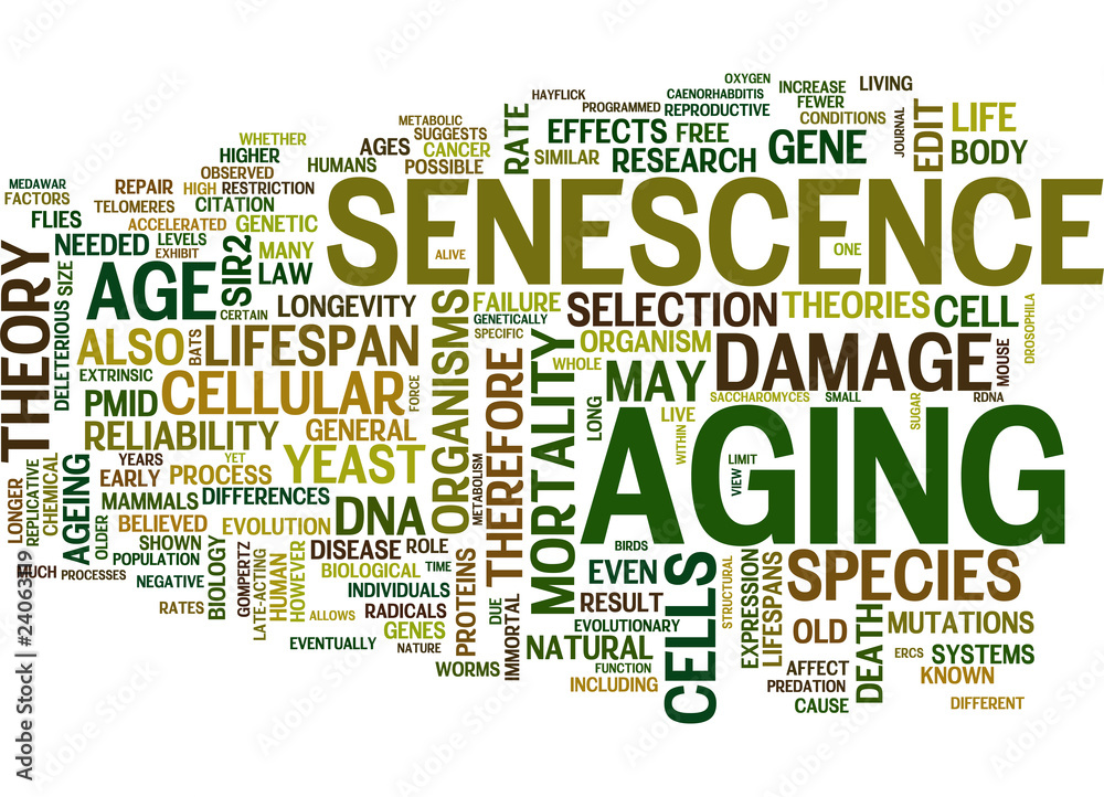 Aging and Senescence Concepts