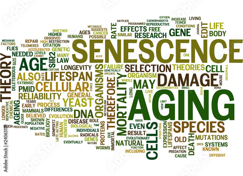 Aging and Senescence Concepts