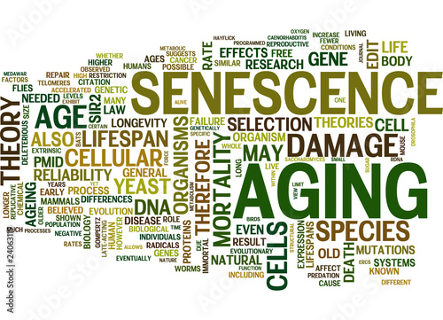 Aging and Senescence Concepts photo