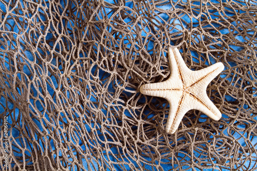 Sea star on fishing net