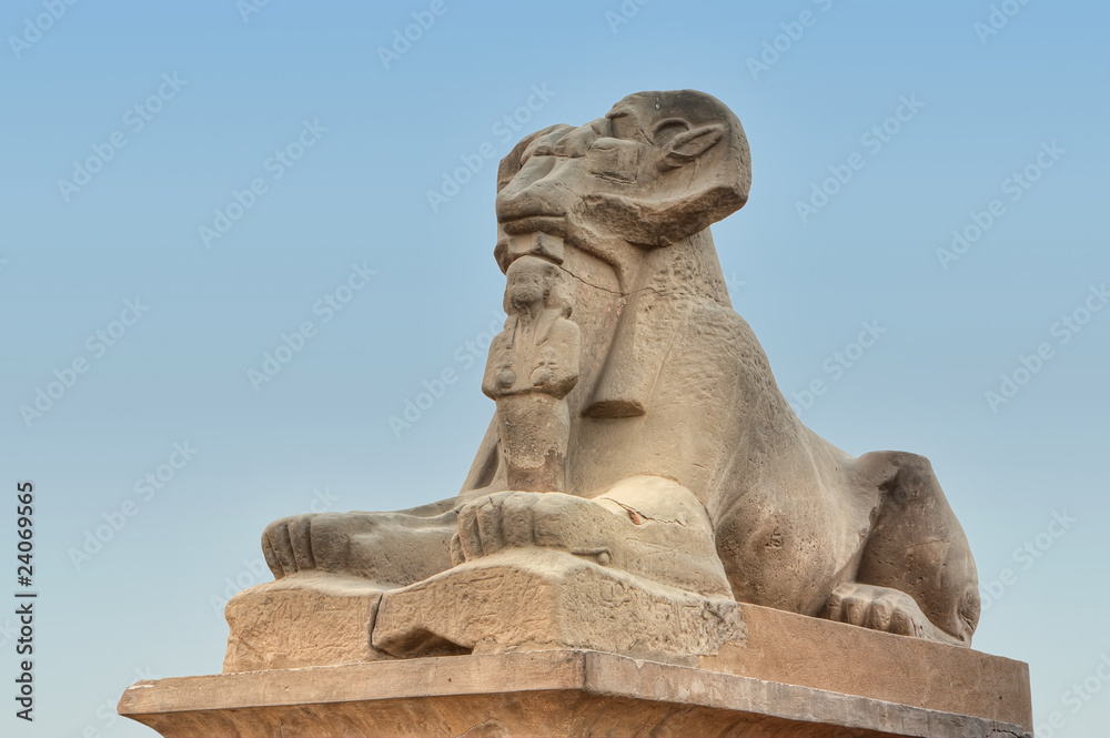 Karnak's sphinx