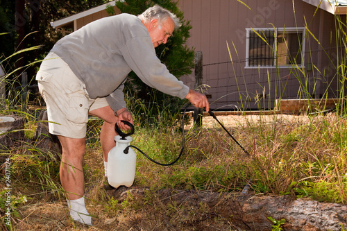 Senior Man Gardening photo
