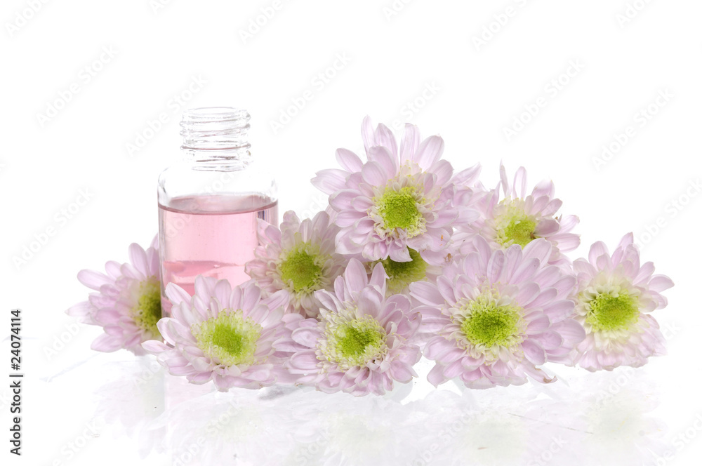 isolated spa bottles and daisies flower isolated spa bottles and daisies flower