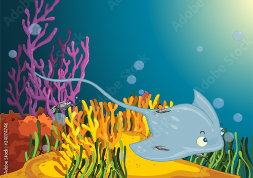 Accompanied ray