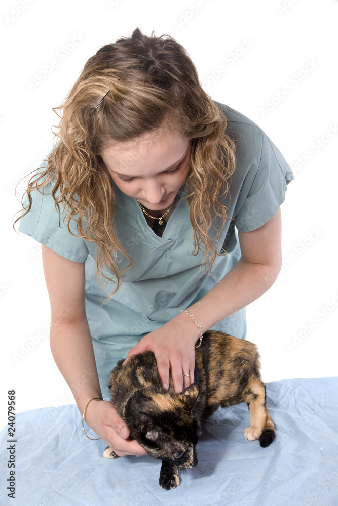 jeune vétérinaire osculant un chat jeune vétérinaire osculant un chat