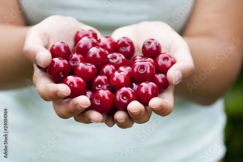 Cherries offer horizontal © gudrun