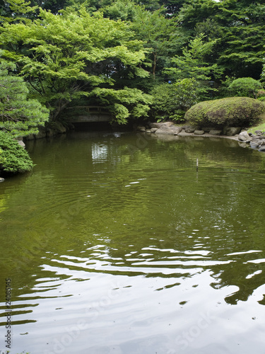 日本庭園と橋