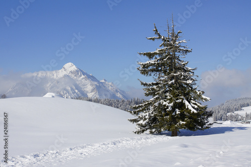 Wallpaper Mural Winter Torontodigital.ca