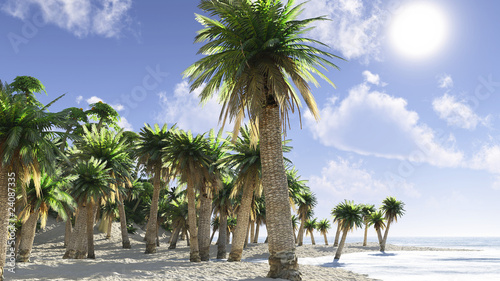 Idyllic tropical island with palm trees