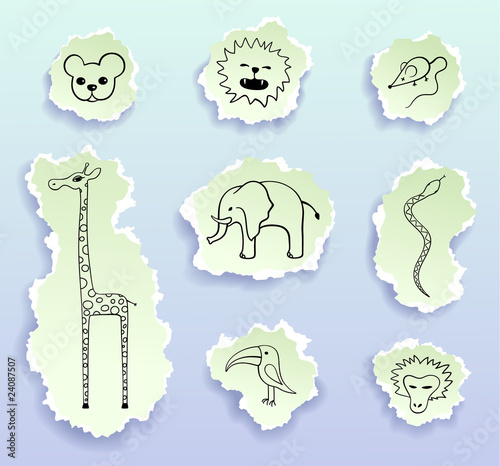 animals, vector doodles on peaces of paper