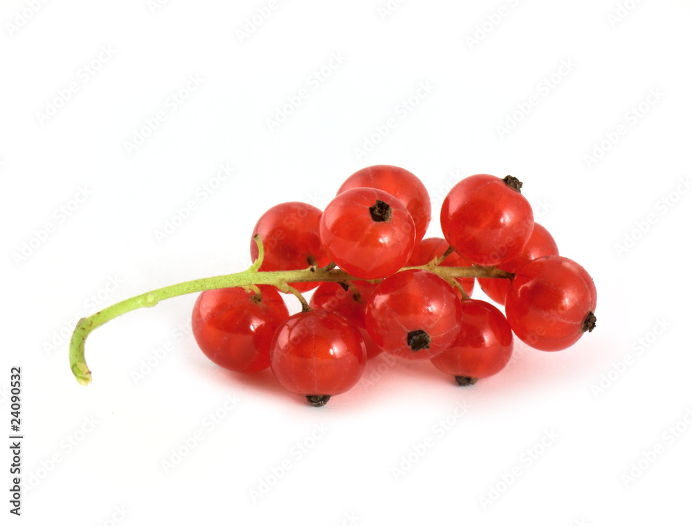 Currant Currant