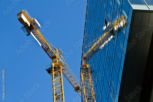 Crane reflection