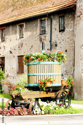 Canvas Print wine-press, Chatenois, Alsace, France