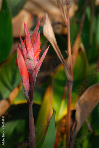 Photography New life