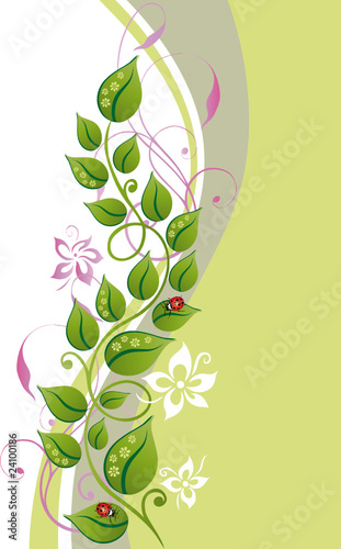 Blume, Blüte, Ranke, filigran, floral, background