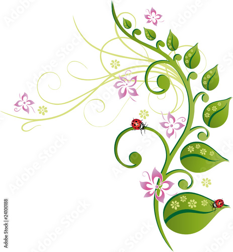 Blumen, Blüten, Ranke, floral, filigran, background