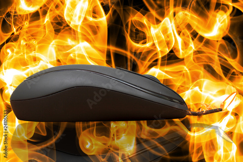 mouse
