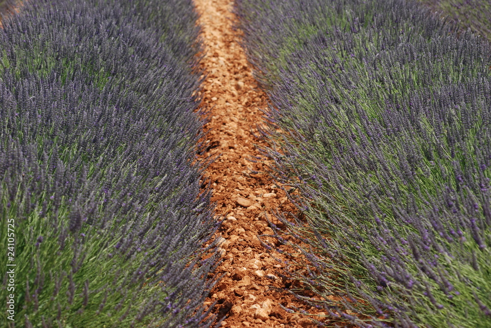 couleur sud