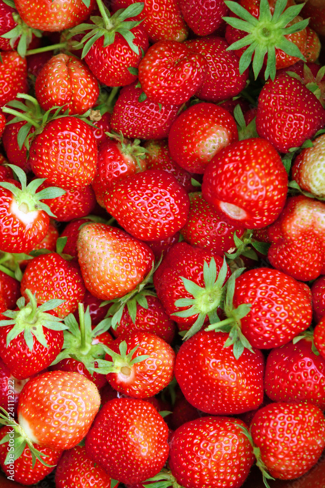 erdbeeren erdbeeren