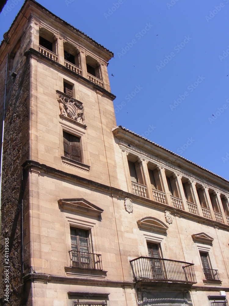 Palacio de Salamanca