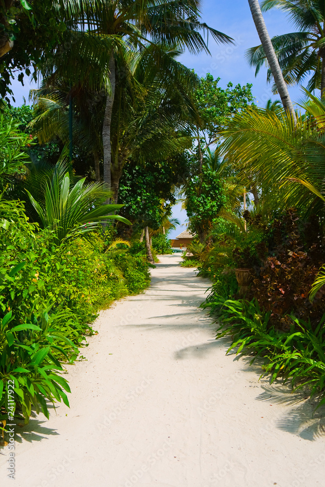 Pathway to bungalow