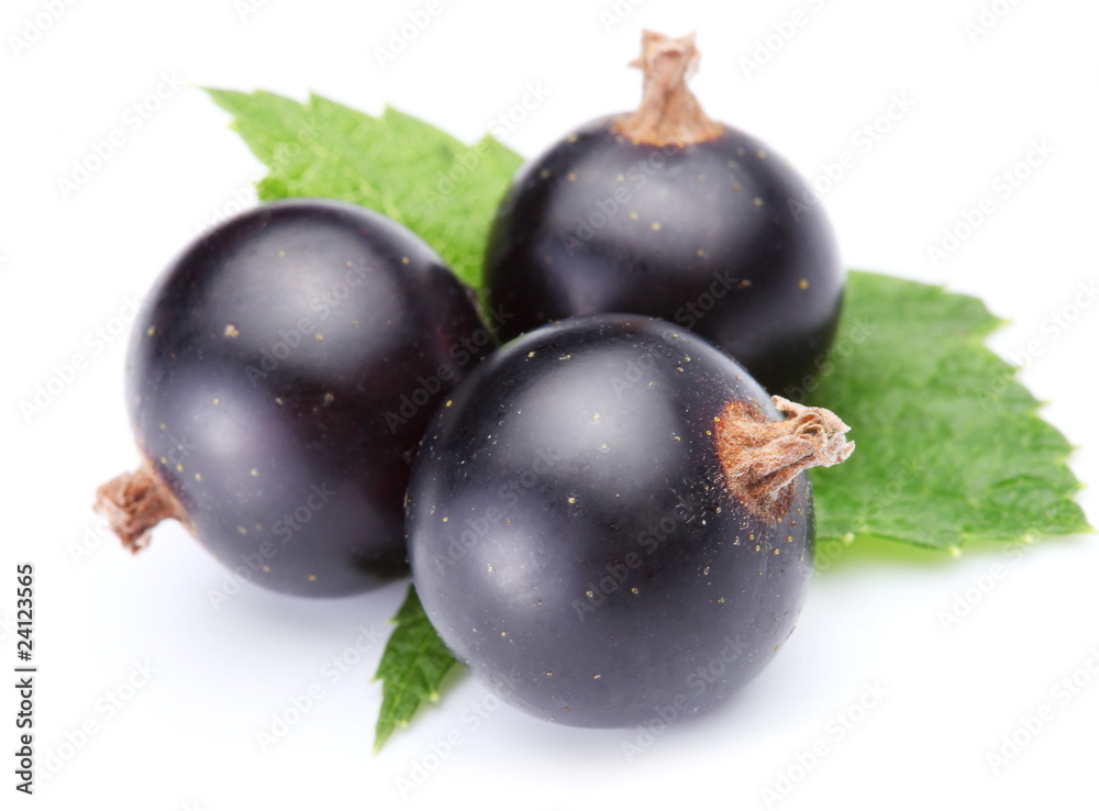 Black currant Black currant