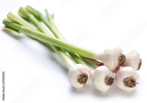 young garlic on a white background