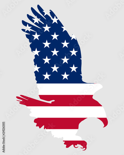 Amerikanischer Weißkopfseeadler