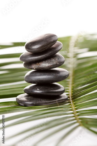 black stones and green leaf