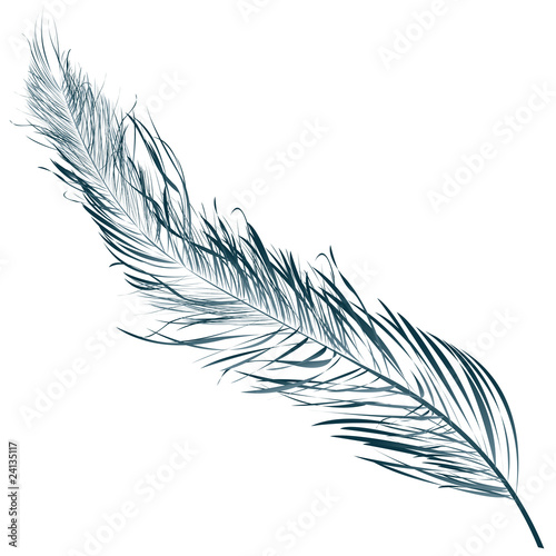 Blue feather