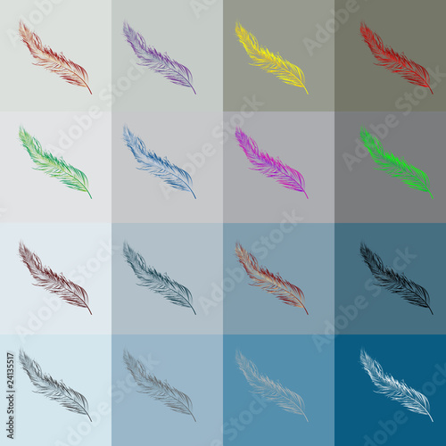Feathers background
