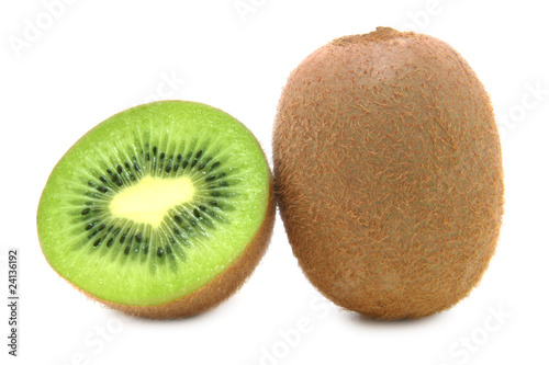kiwi 4_0579