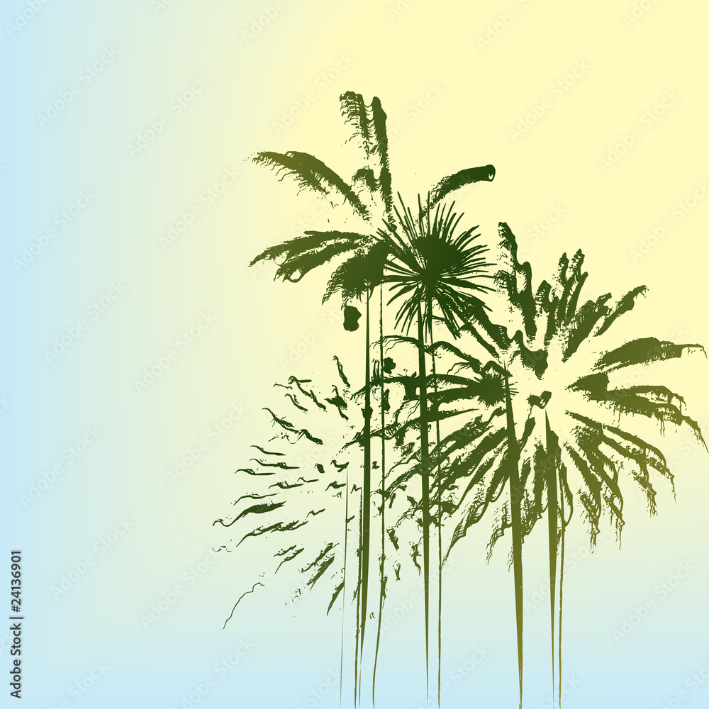 Palm trees Palm trees