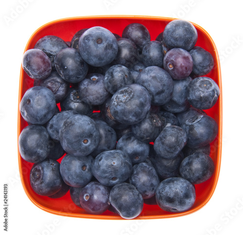 Blueberries in a Vibrant Orange Bowl