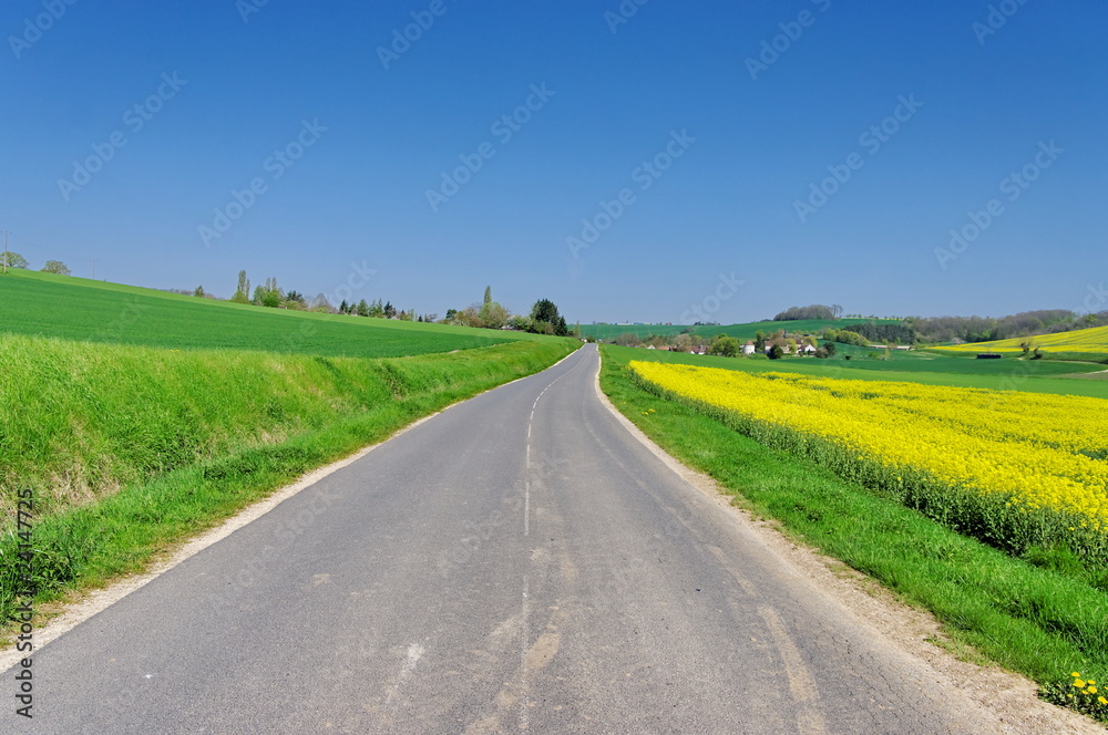 route goudronnée dans la campagne