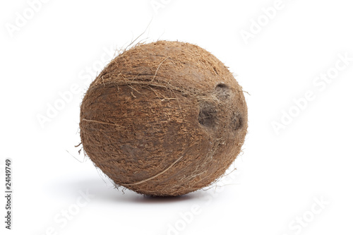 Whole single coconut