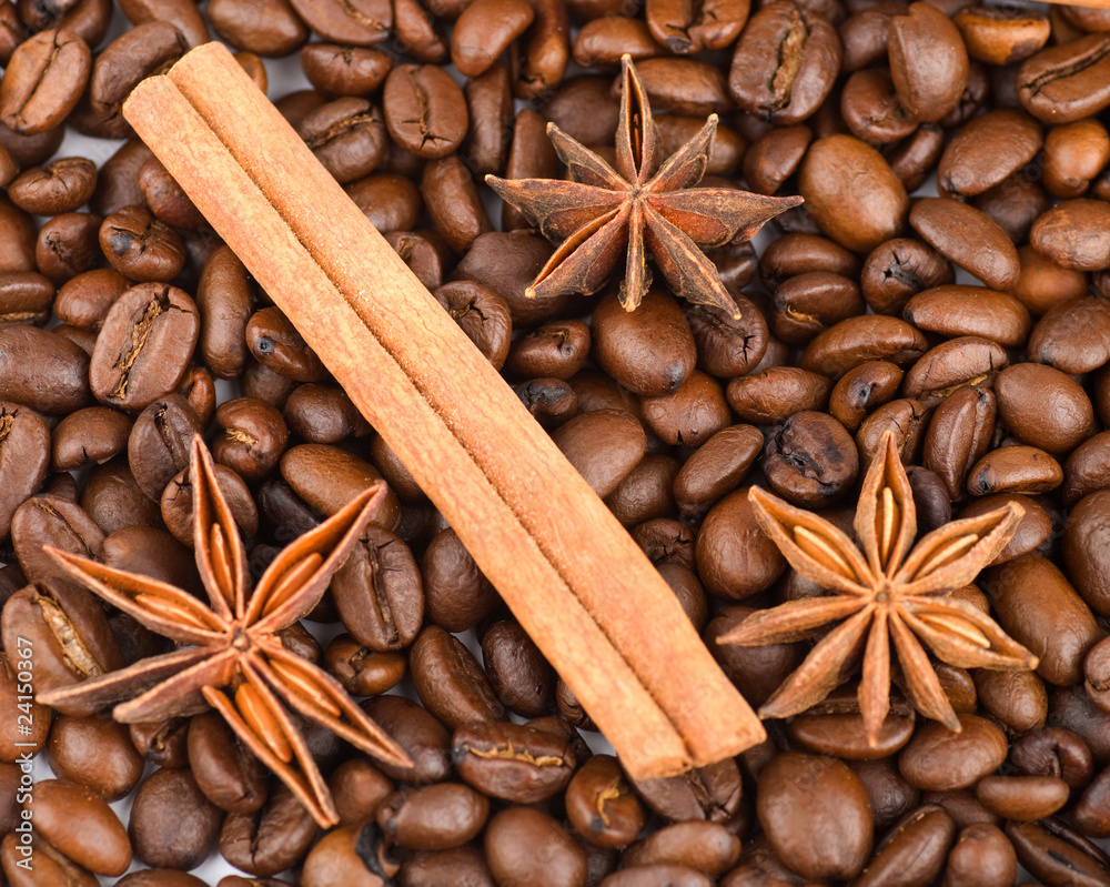 Cinnamon sticks and anise stars on coffee beans Cinnamon sticks and anise stars on coffee beans