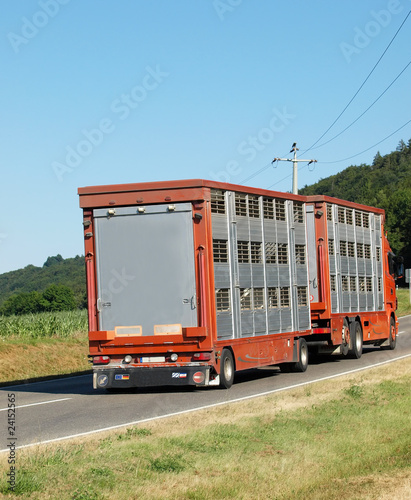 Viehtransport