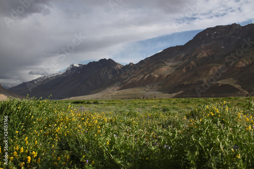 green valley