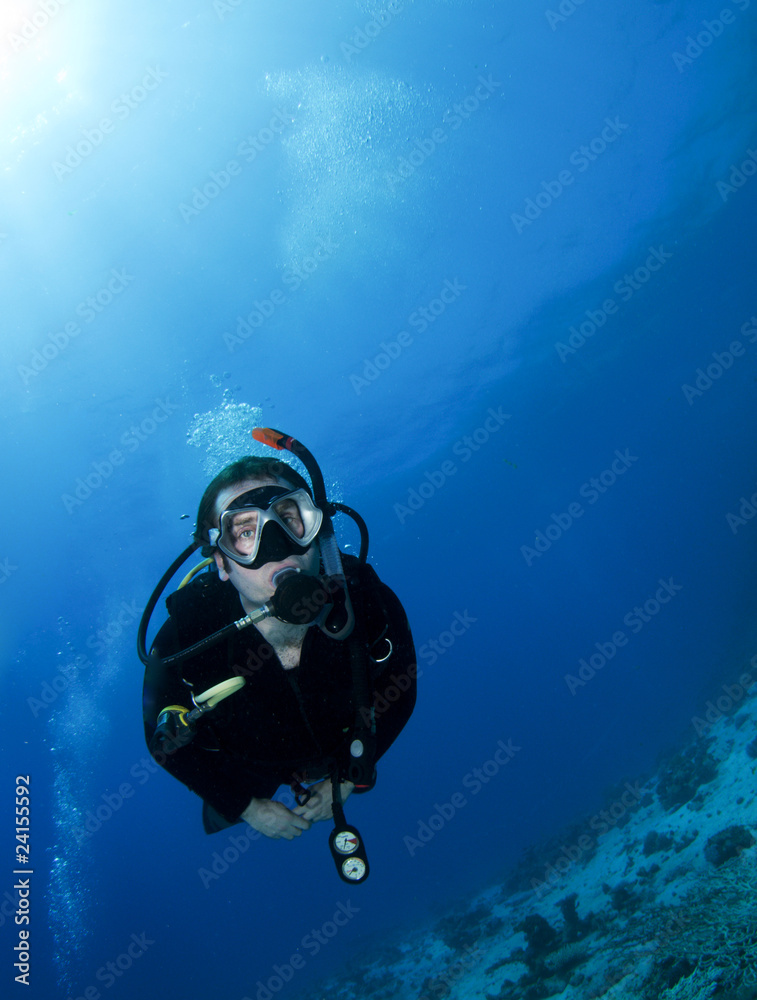scuba diver scuba diver