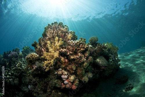 underwater sceane