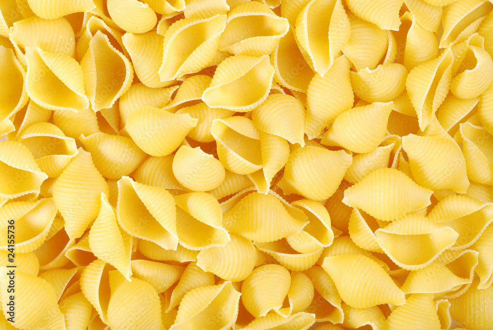 shell pasta shell pasta