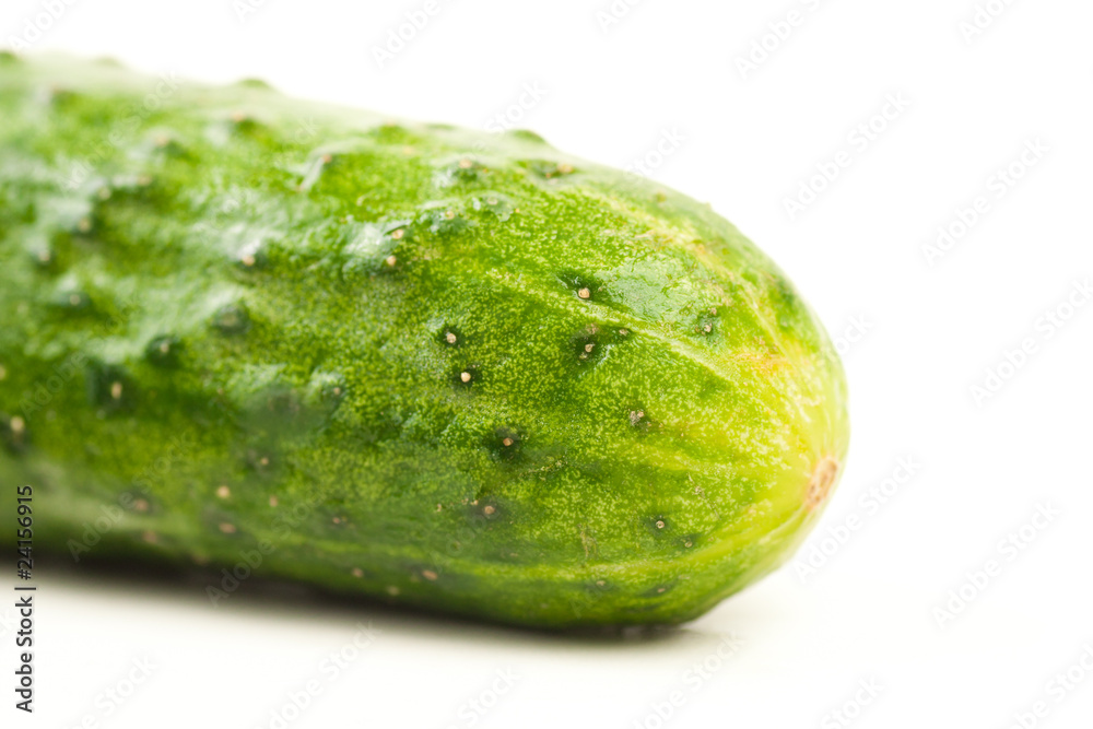 fresh green cucumber isolated on white with water drops fresh green cucumber isolated on white with water drops