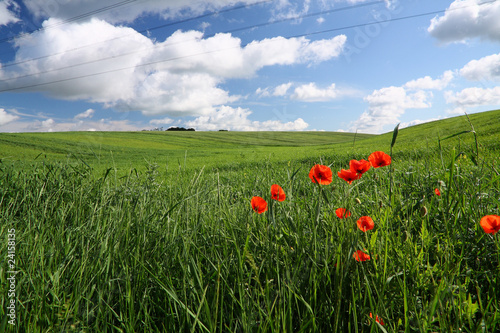 Green field