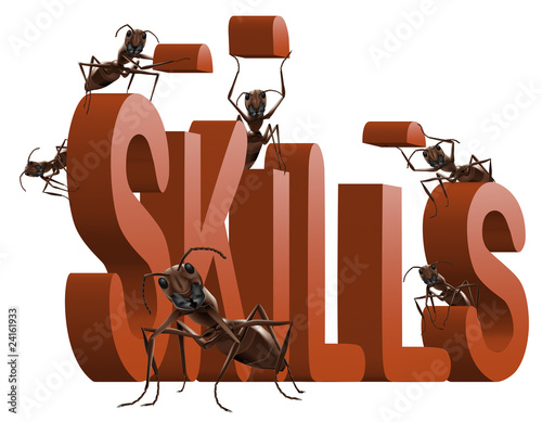 building skills photo