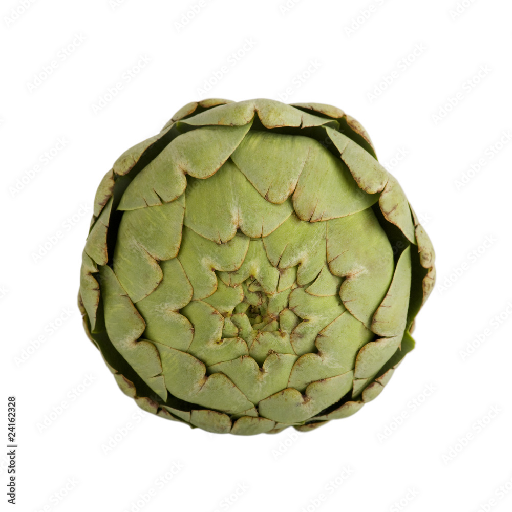 Obraz premium Artischoke Artischocke