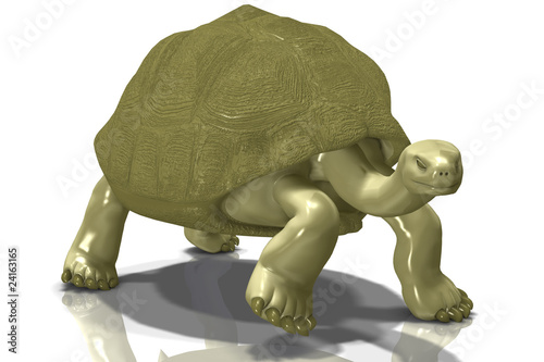 Glassy Gold Tortoise