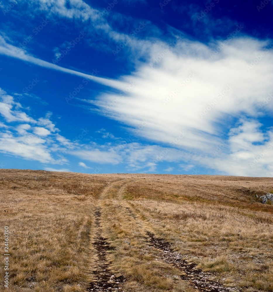 road in a steppe